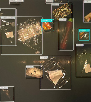 IMG_7301 2_edited.jpg